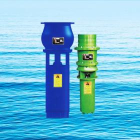 QZSQHS系列潜水轴（混）流泵